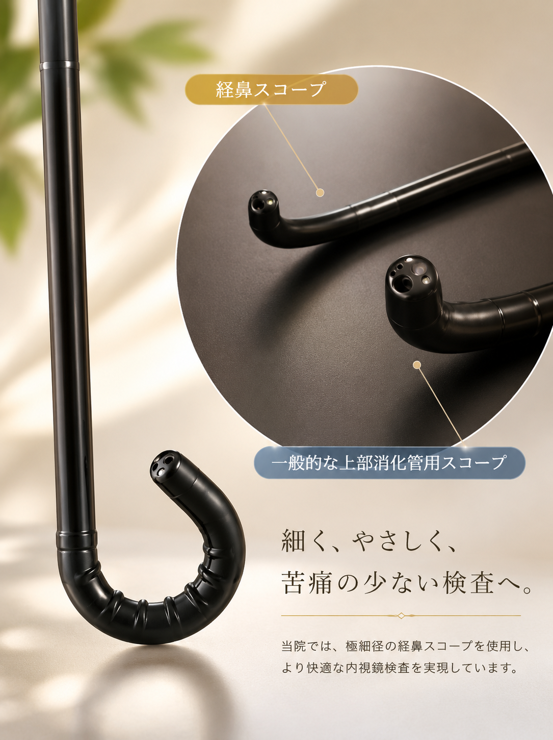 経鼻内視鏡（極細径スコープ）と経口内視鏡